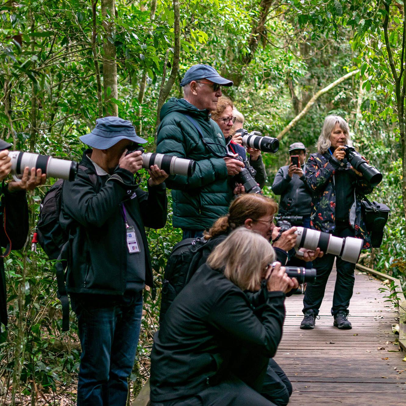 Bird and Wildlife Photography Tours and Workshops